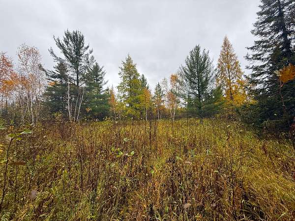 10 Acres of Recreational & Residential Land for Sale in Eveleth, Minnesota