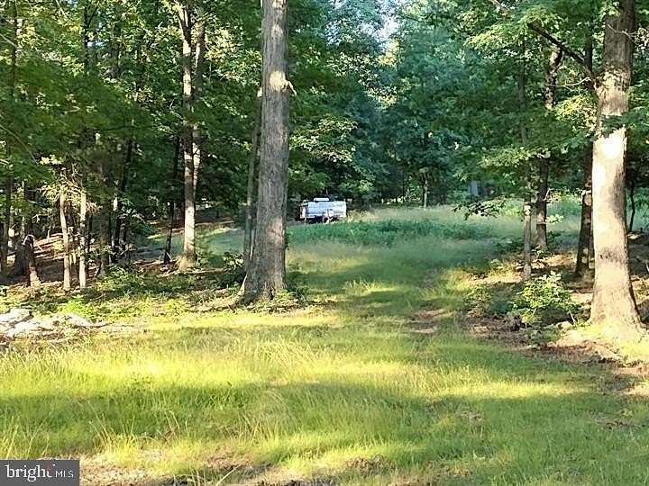 20 Acres of Recreational Land for Sale in Springfield, West Virginia