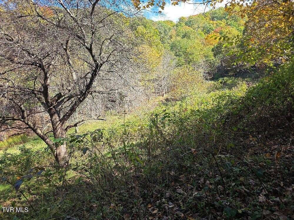 19.4 Acres of Land for Sale in Trade, Tennessee
