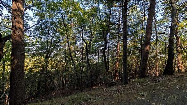 0.13 Acres of Residential Land for Sale in Jasper, Georgia