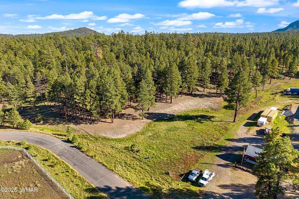 4.44 Acres of Residential Land for Sale in Alpine, Arizona