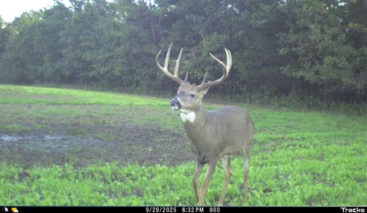 30 Acres of Land for Sale in Adams, Wisconsin