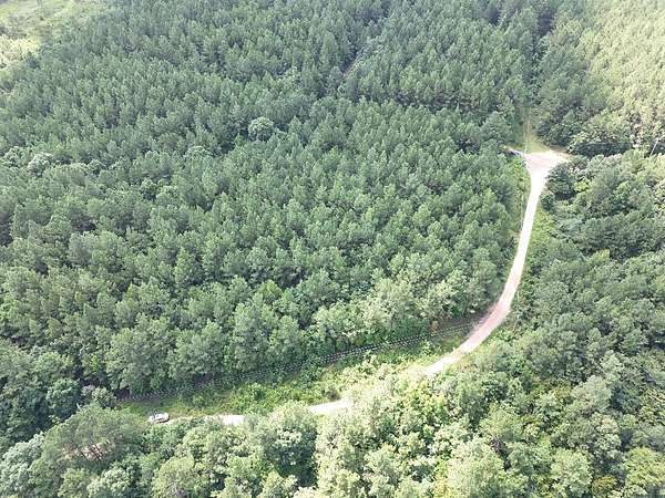 5 Acres of Land for Sale in Amity, Arkansas