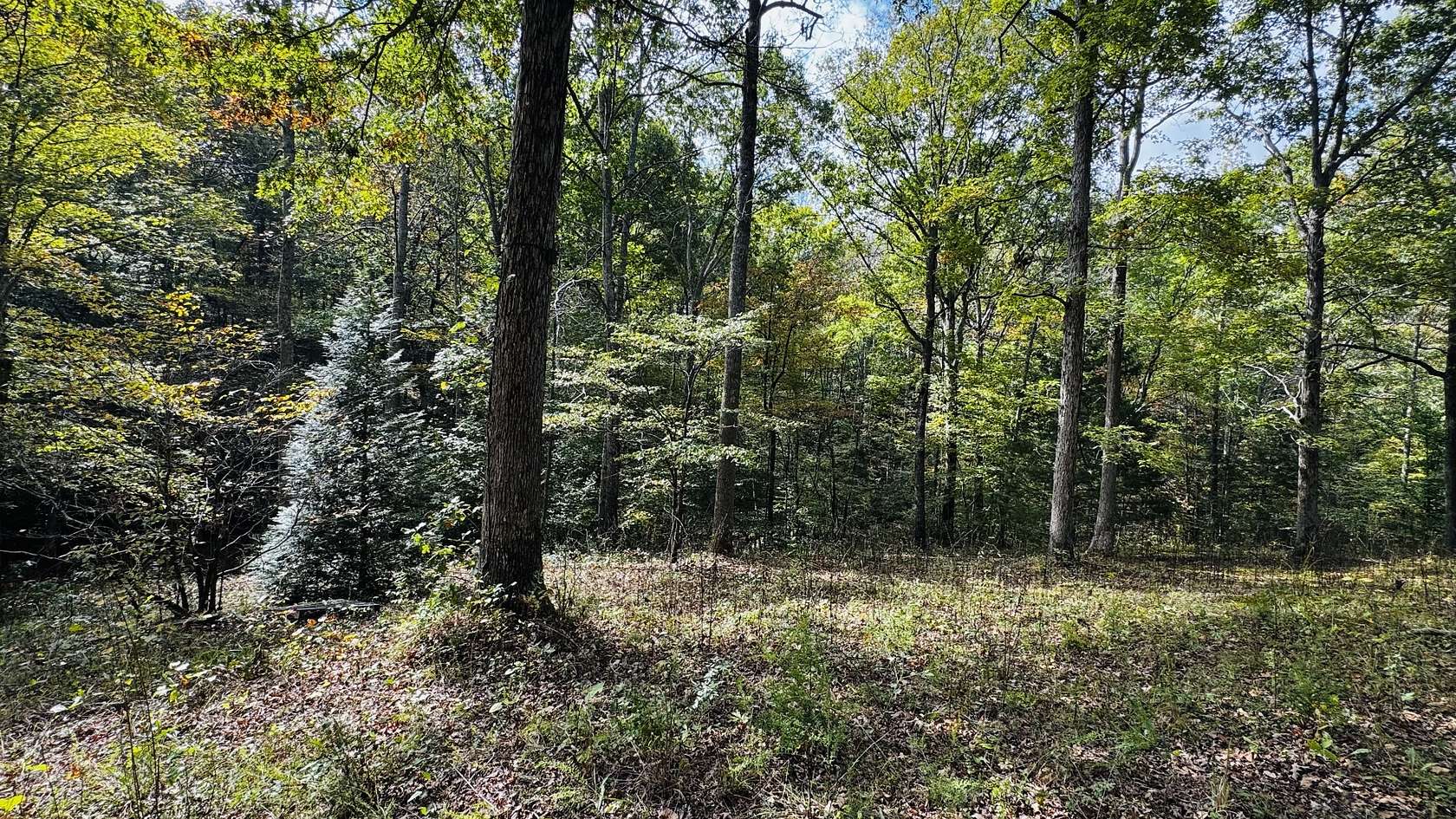 13 Acres of Recreational & Residential Land for Sale in White Bluff, Tennessee