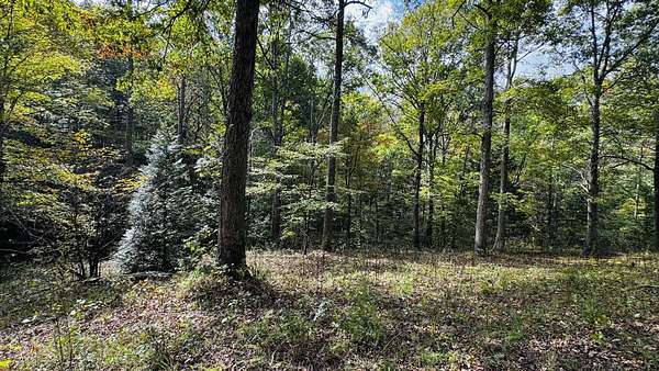 13 Acres of Recreational & Residential Land for Sale in White Bluff, Tennessee