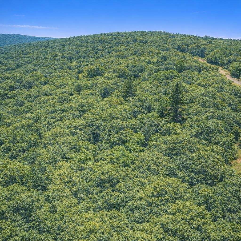 5.17 Acres of Residential Land for Sale in Spencer, Tennessee