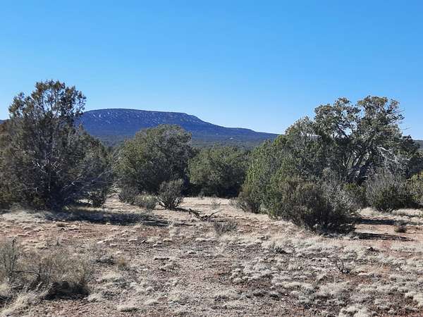 4 Acres of Agricultural Land for Sale in Seligman, Arizona