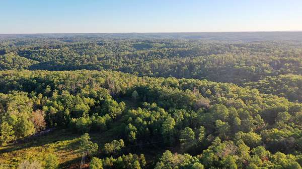 130 Acres of Land for Sale in Salem, Missouri