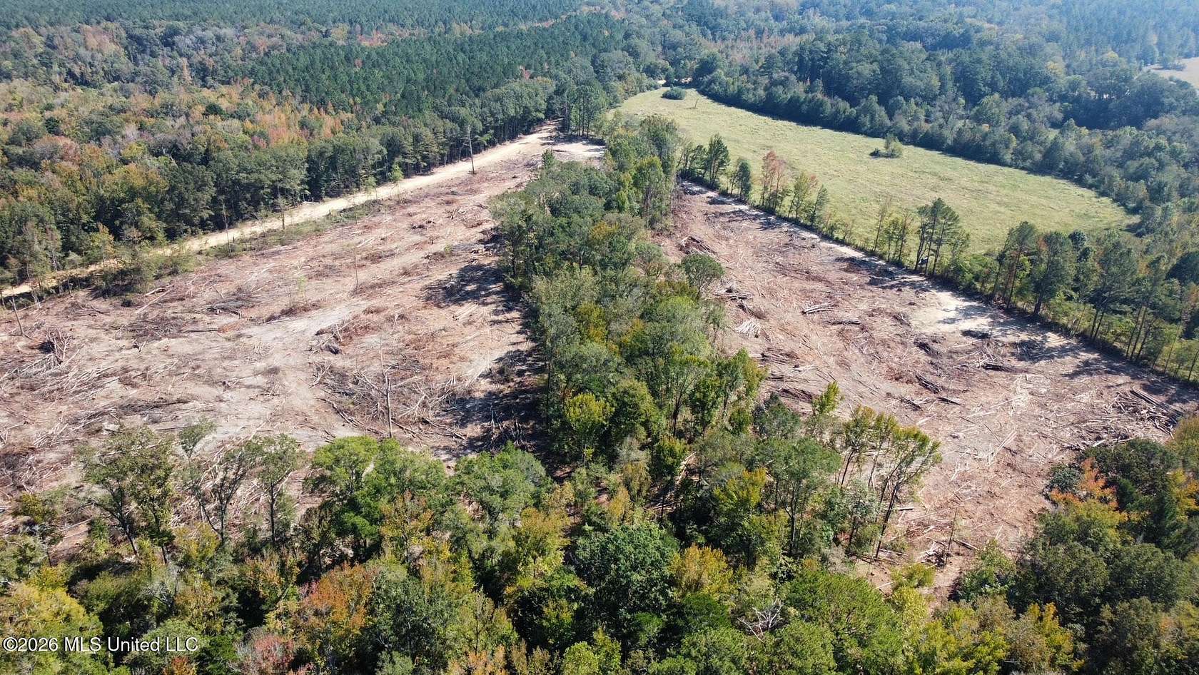 30 Acres of Recreational Land for Sale in Carthage, Mississippi