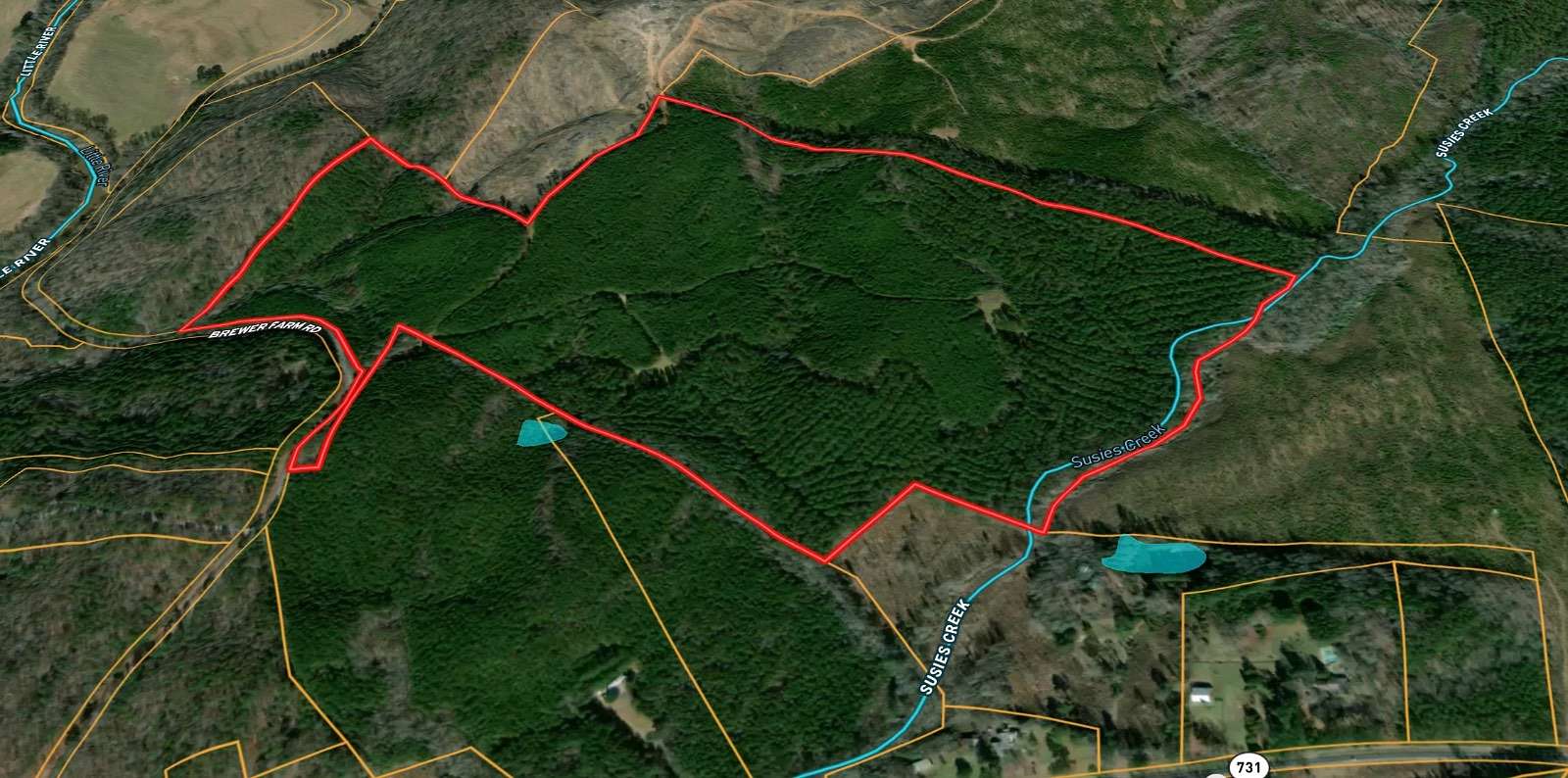 130 Acres of Recreational Land for Sale in Mount Gilead, North Carolina