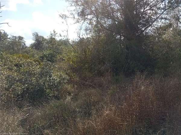 0.23 Acres of Residential Land for Sale in Lake Placid, Florida