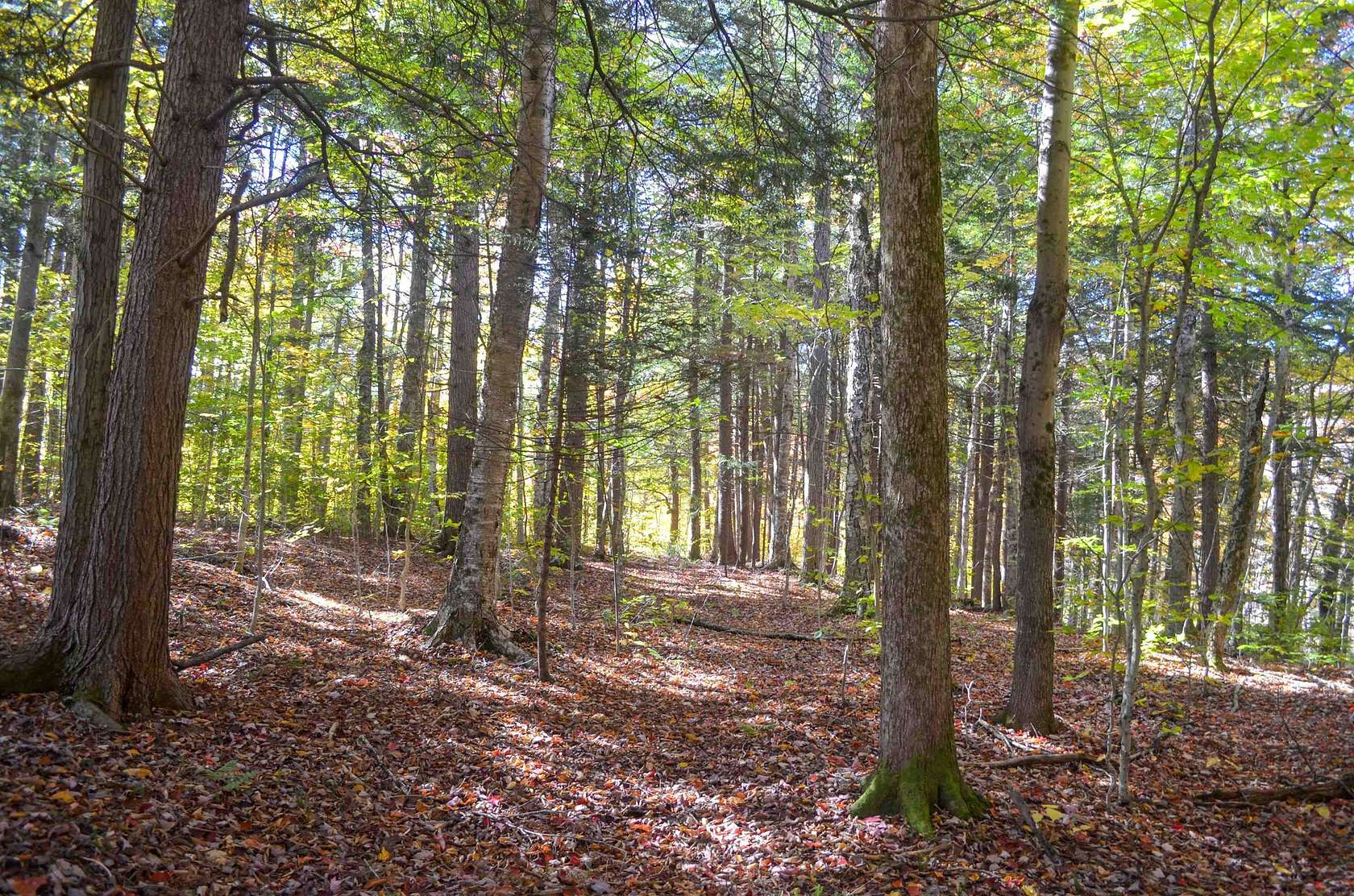 3 Acres of Residential Land for Sale in Ludlow, Vermont