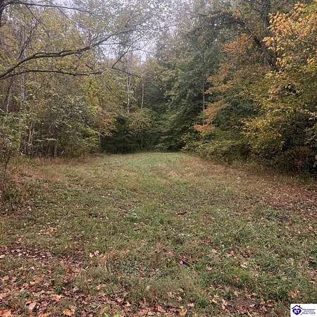 74.4 Acres of Recreational Land for Sale in Knifley, Kentucky