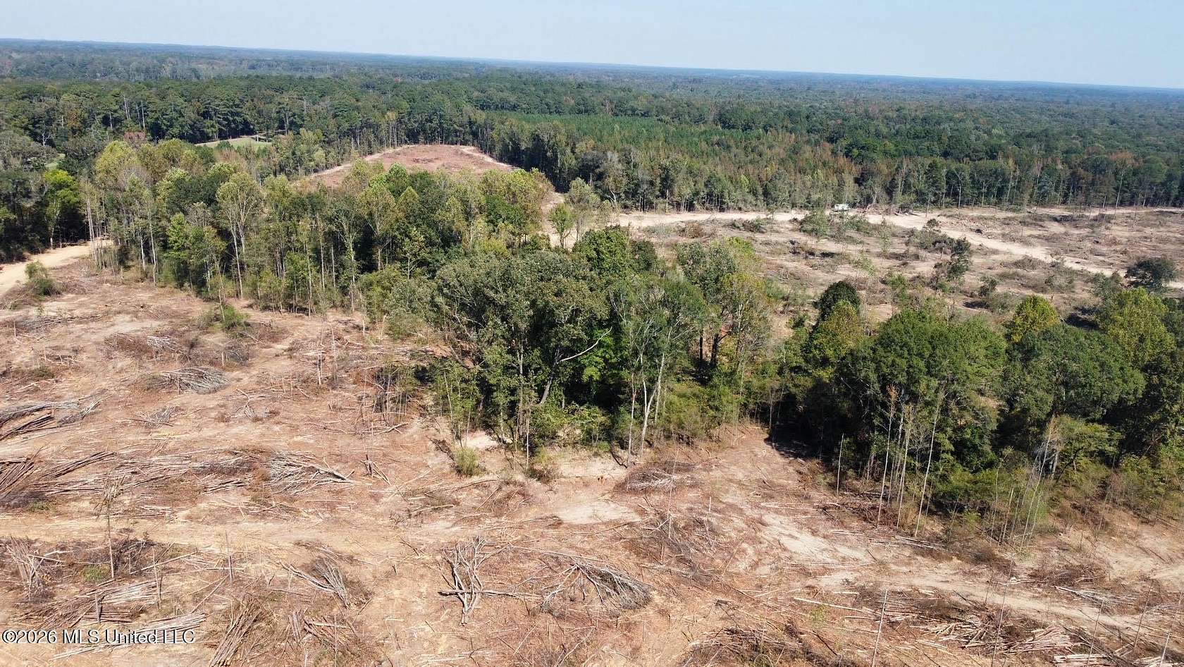 100 Acres of Recreational Land for Sale in Carthage, Mississippi