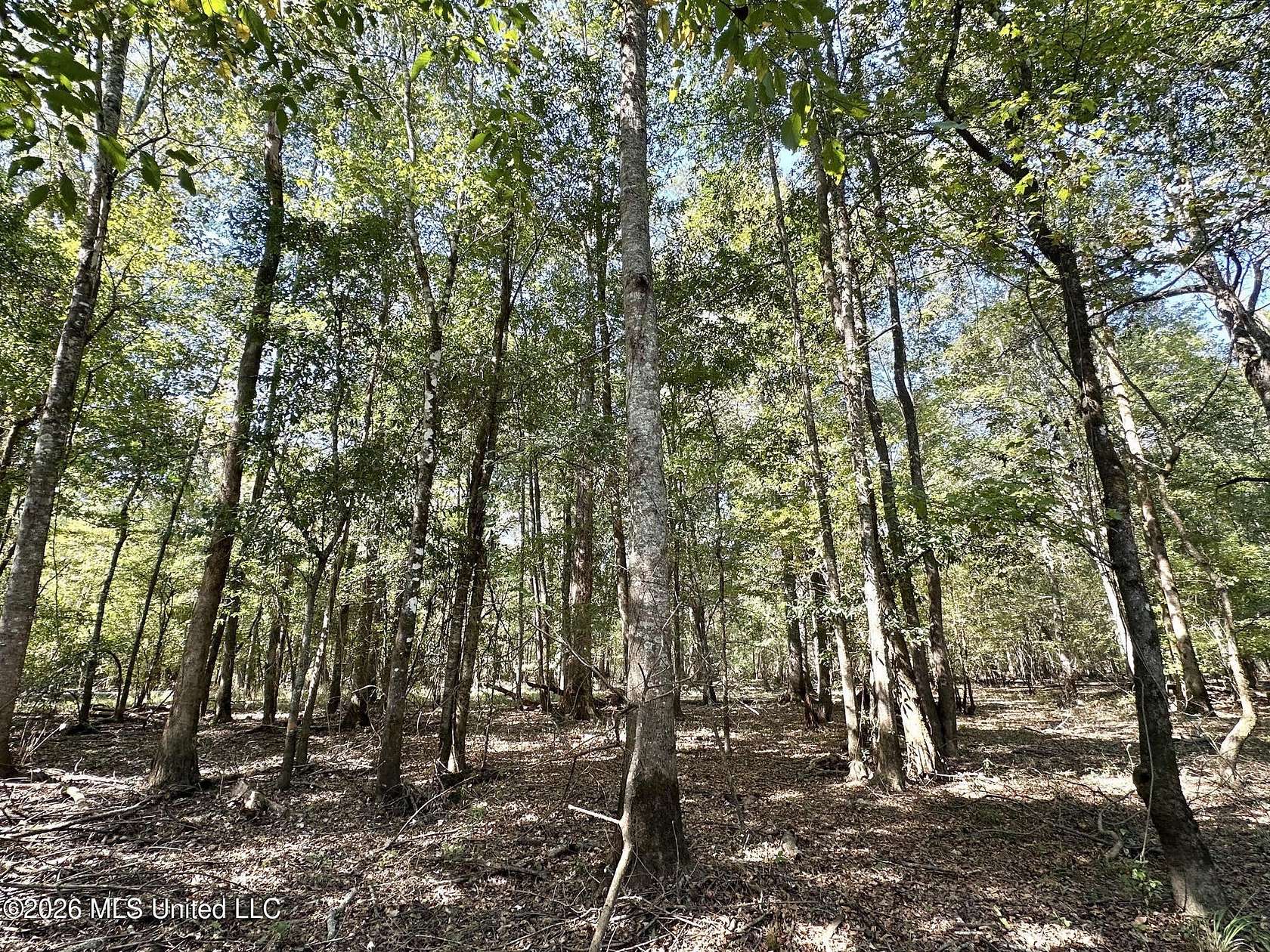 135 Acres of Recreational Land for Sale in Carthage, Mississippi