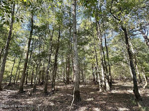 135 Acres of Recreational Land for Sale in Carthage, Mississippi