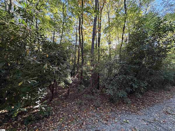 0.36 Acres of Land for Sale in Cleveland, South Carolina