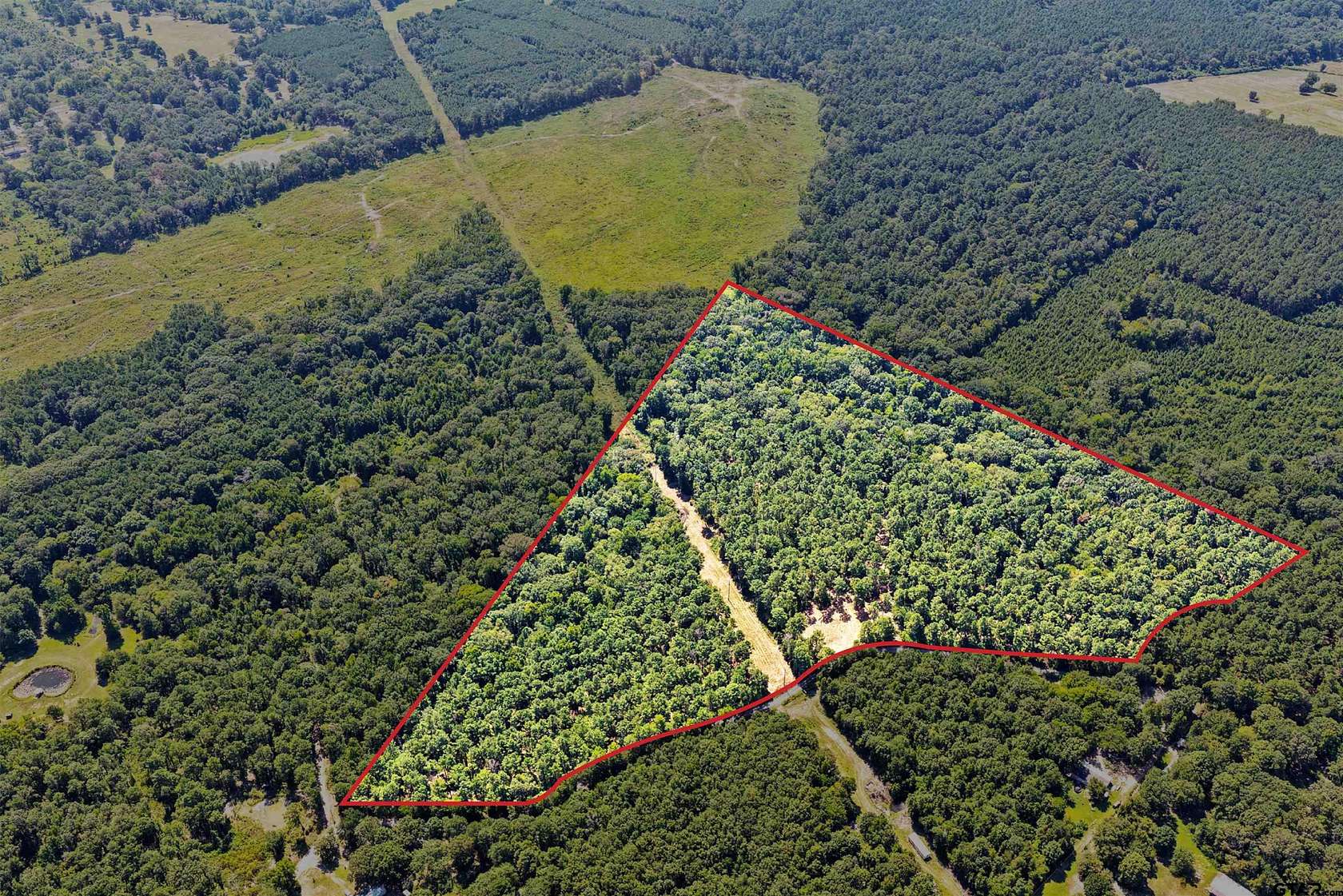 41 Acres of Recreational & Residential Land for Sale in Pittsburg, Texas