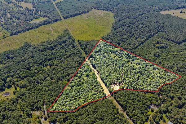 41 Acres of Recreational & Residential Land for Sale in Pittsburg, Texas