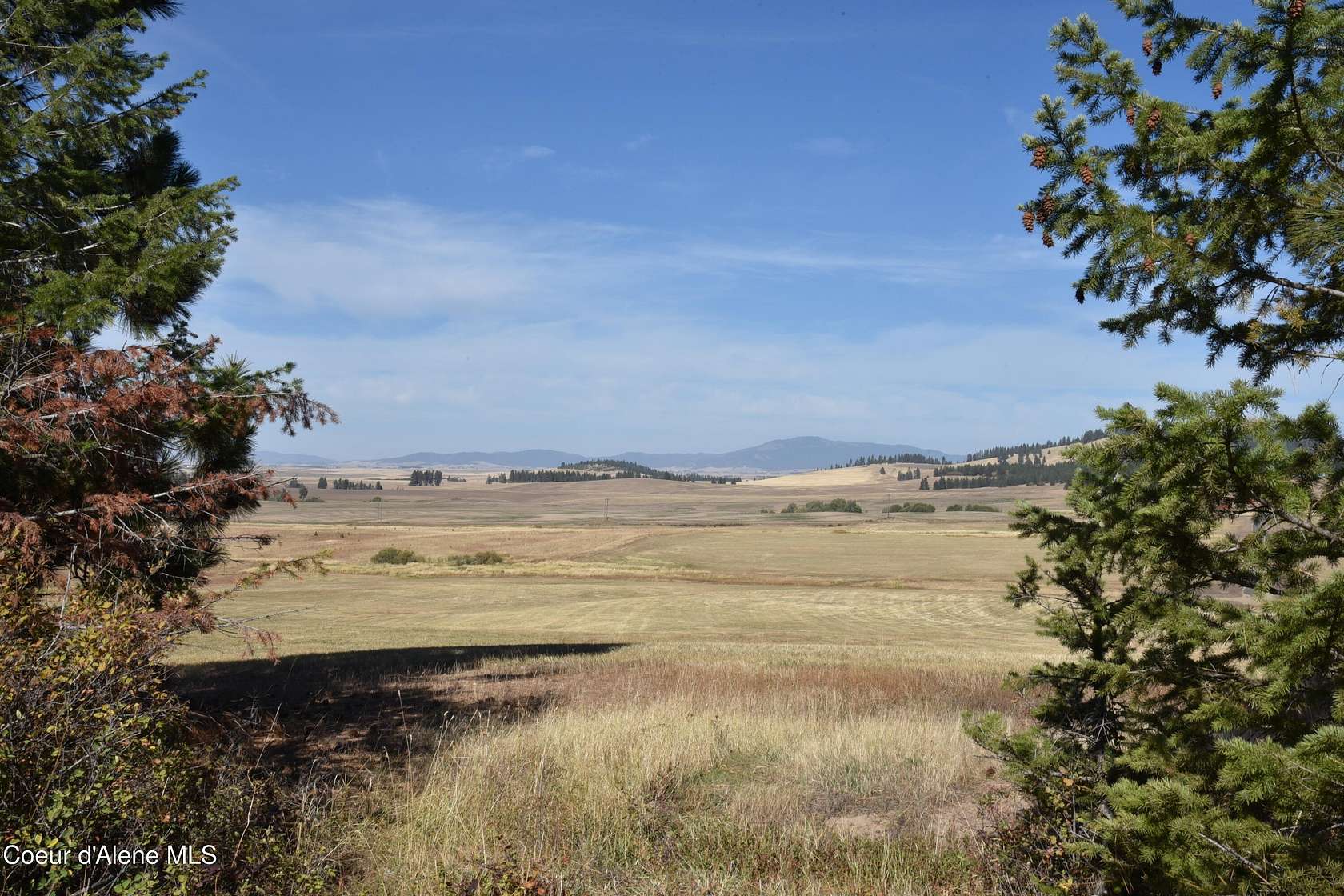 20 Acres of Recreational Land for Sale in Plummer, Idaho