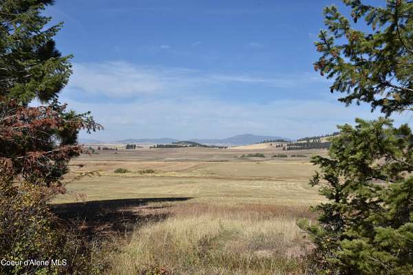 20 Acres of Recreational Land for Sale in Plummer, Idaho