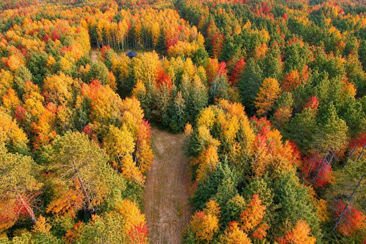 5 Acres of Land for Sale in Tomahawk, Wisconsin