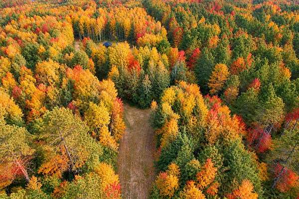 5 Acres of Land for Sale in Tomahawk, Wisconsin