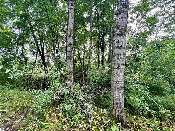 80 Acres of Recreational & Residential Land for Sale in Stanton, Michigan