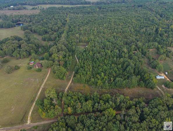 16.7 Acres of Recreational & Residential Land for Sale in Atlanta, Texas