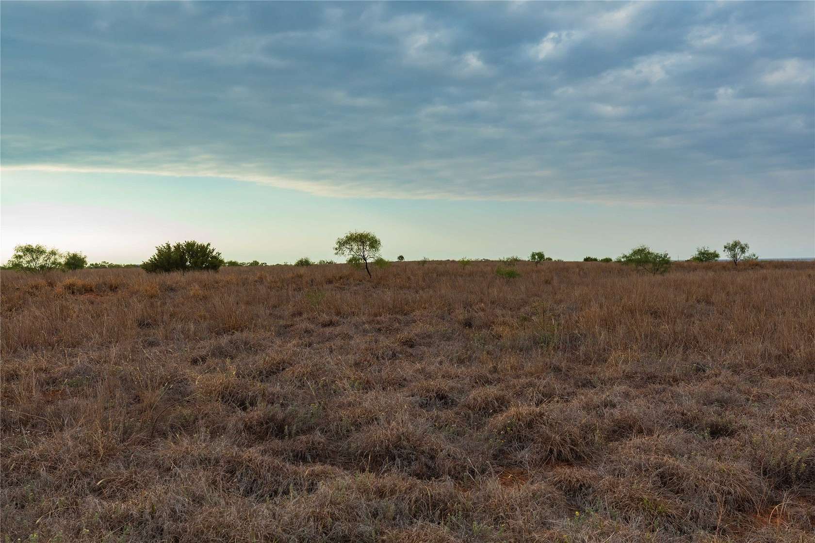 172 Acres of Land for Sale in Hamlin, Texas