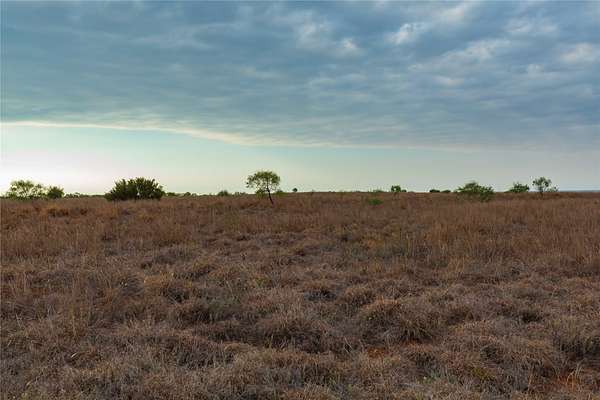 172 Acres of Land for Sale in Hamlin, Texas