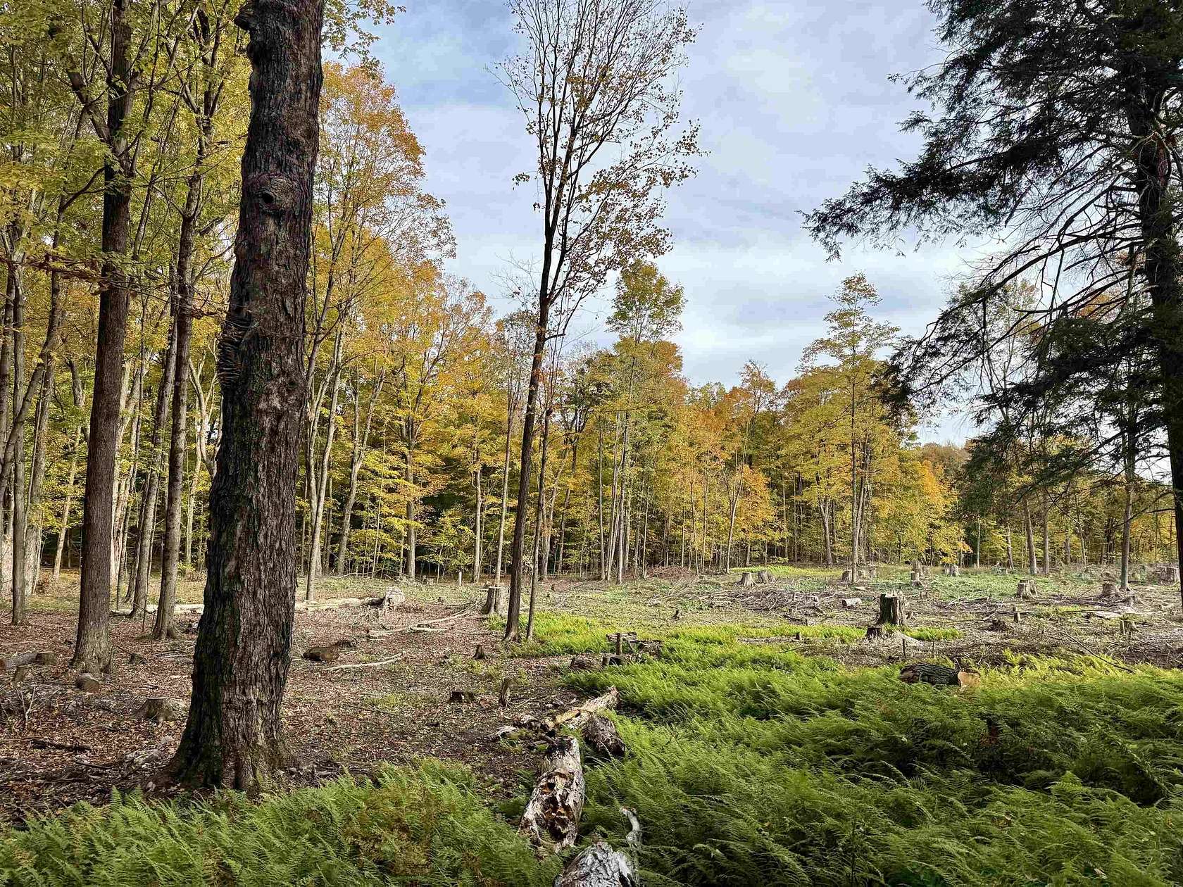 2 Acres of Residential Land for Sale in Potsdam, New York