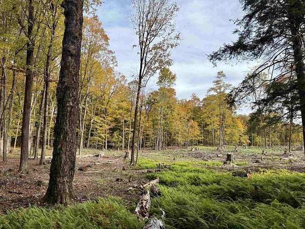 2 Acres of Residential Land for Sale in Potsdam, New York
