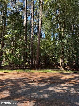 0.23 Acres of Land for Sale in Greenbackville, Virginia