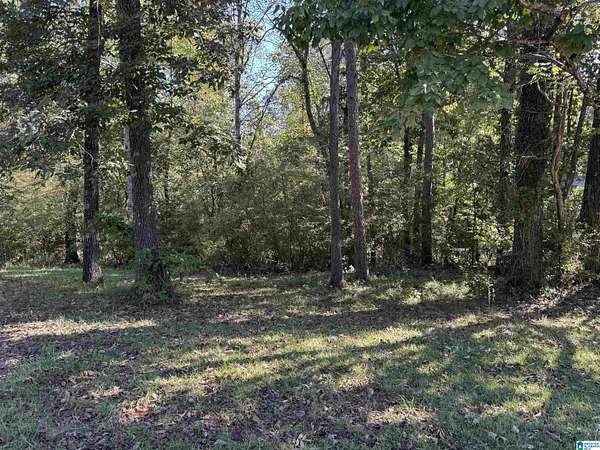 0.36 Acres of Land for Sale in Irondale, Alabama