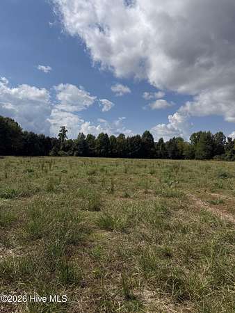 10 Acres of Land for Sale in Hertford, North Carolina