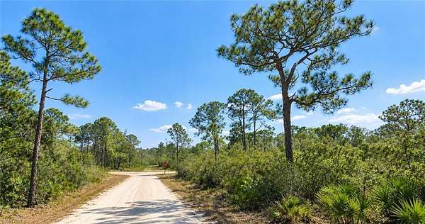 0.23 Acres of Residential Land for Sale in Lake Placid, Florida