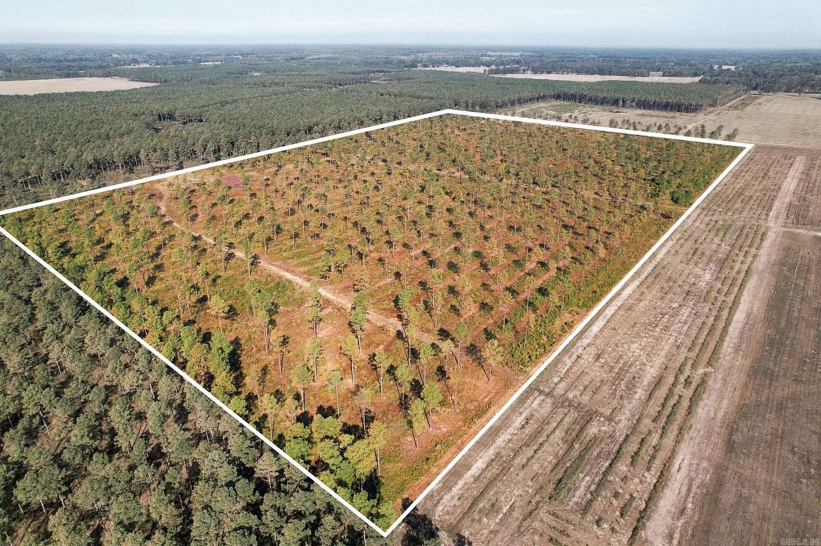 90.2 Acres of Land for Sale in Carlisle, Arkansas