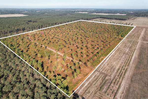 90.2 Acres of Land for Sale in Carlisle, Arkansas
