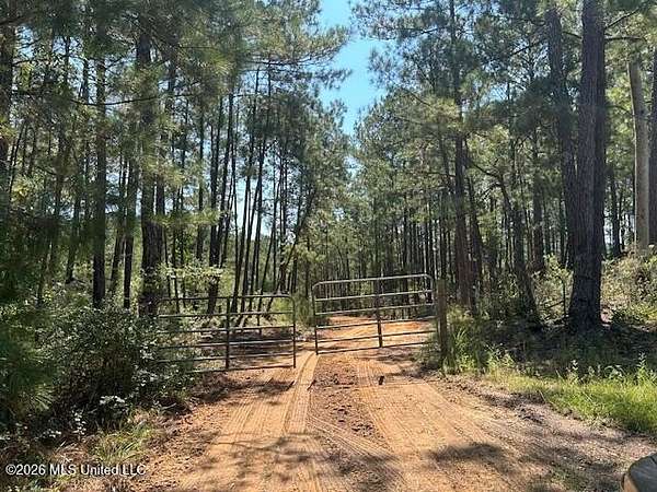 53 Acres of Recreational Land for Sale in Magnolia, Mississippi