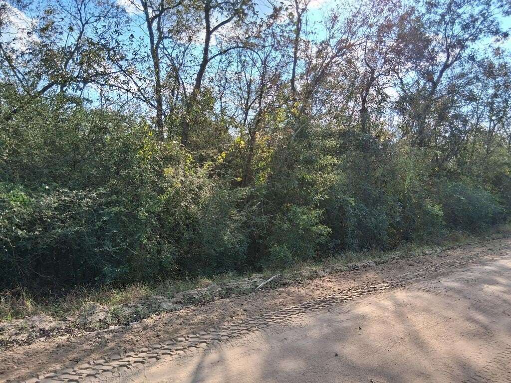 Residential Land for Sale in Tennille, Georgia