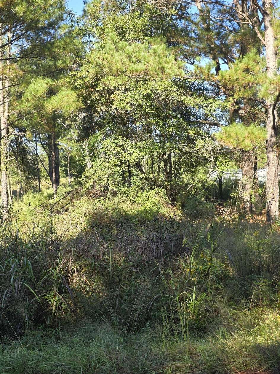 1 Acre of Residential Land for Sale in Eutawville, South Carolina