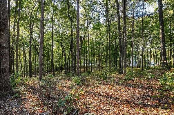 3 Acres of Residential Land for Sale in Canton, Georgia