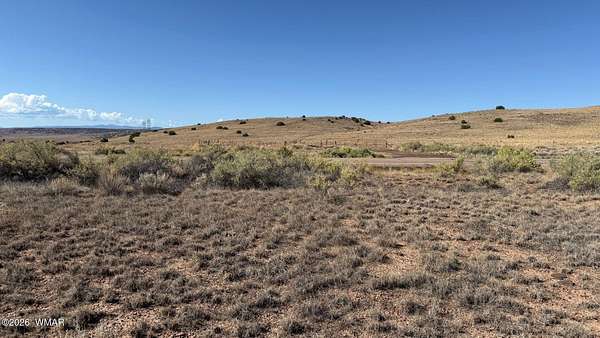 5 Acres of Residential Land for Sale in Concho, Arizona