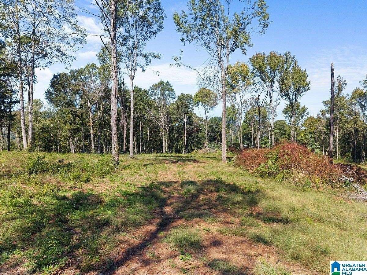 5.15 Acres of Residential Land for Sale in Oneonta, Alabama
