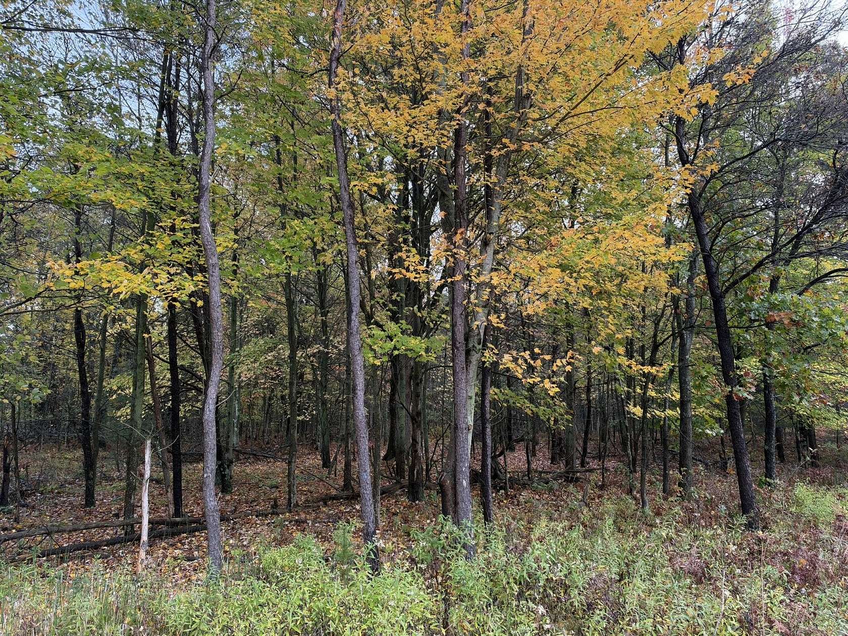1.74 Acres of Residential Land for Sale in Muskegon, Michigan