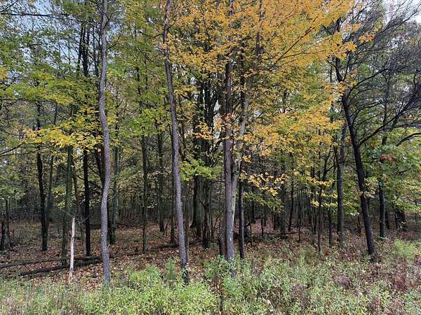 1.74 Acres of Residential Land for Sale in Muskegon, Michigan