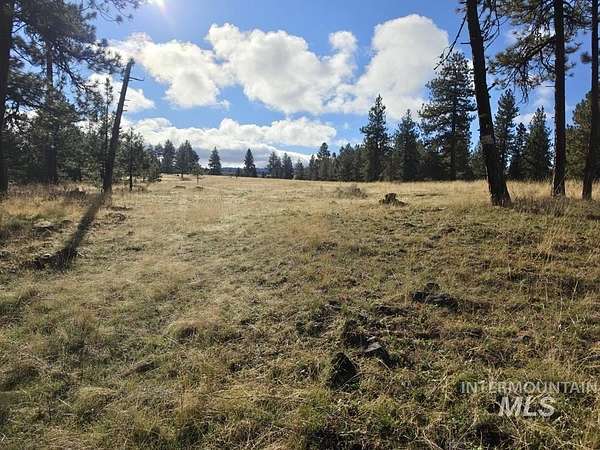 25 Acres of Recreational Land for Sale in White Bird, Idaho