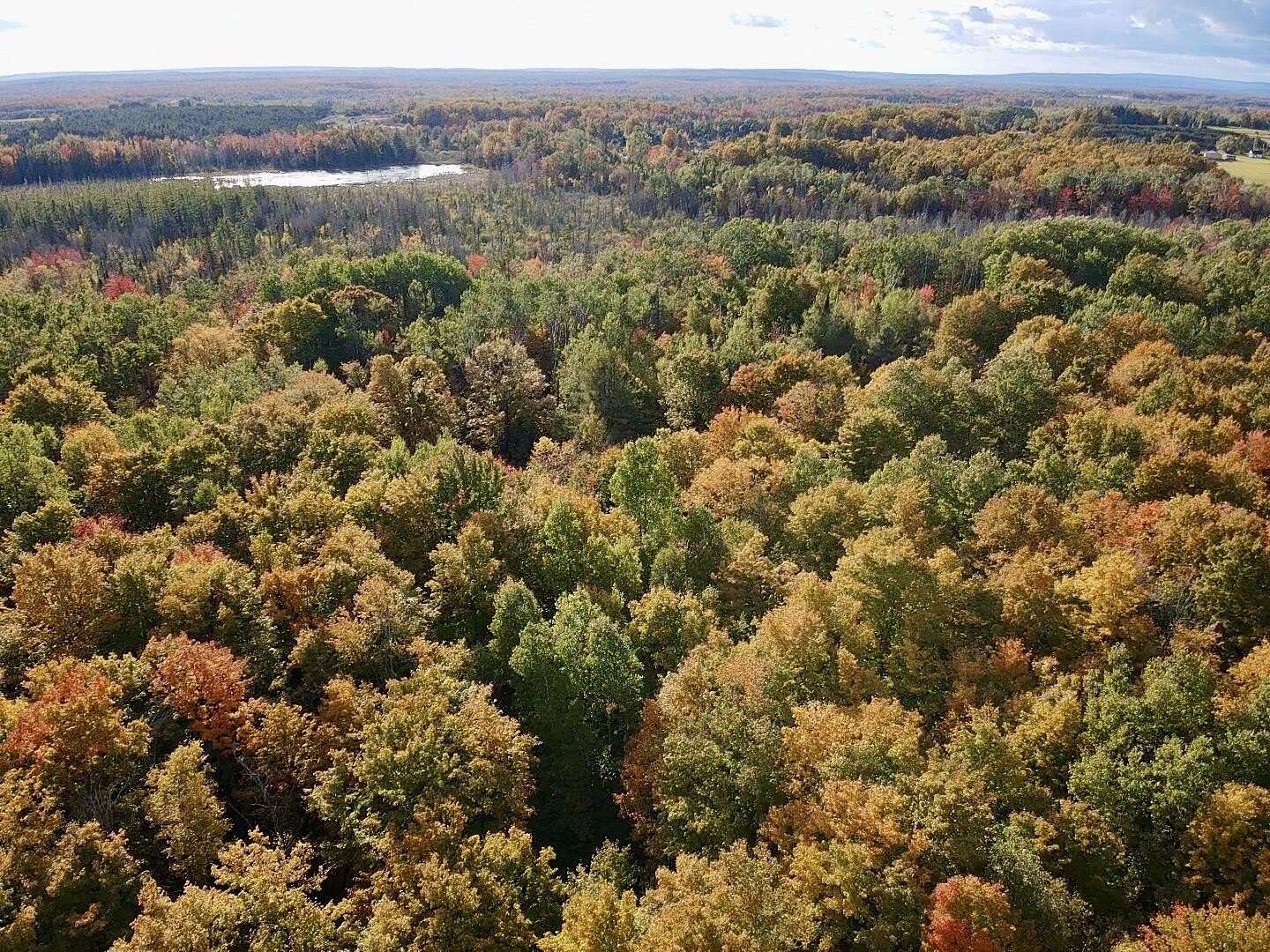 54.2 Acres of Recreational Land for Sale in Afton, Michigan