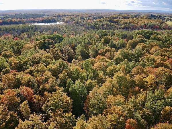 54.2 Acres of Recreational Land for Sale in Afton, Michigan
